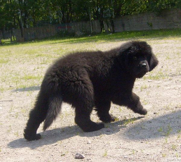 Фотография № 45524