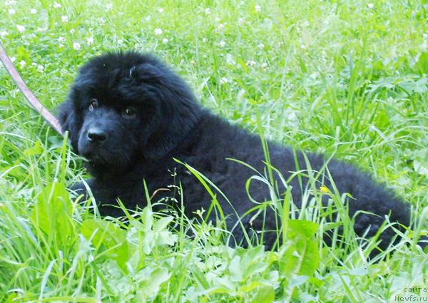 Фотография № 45526