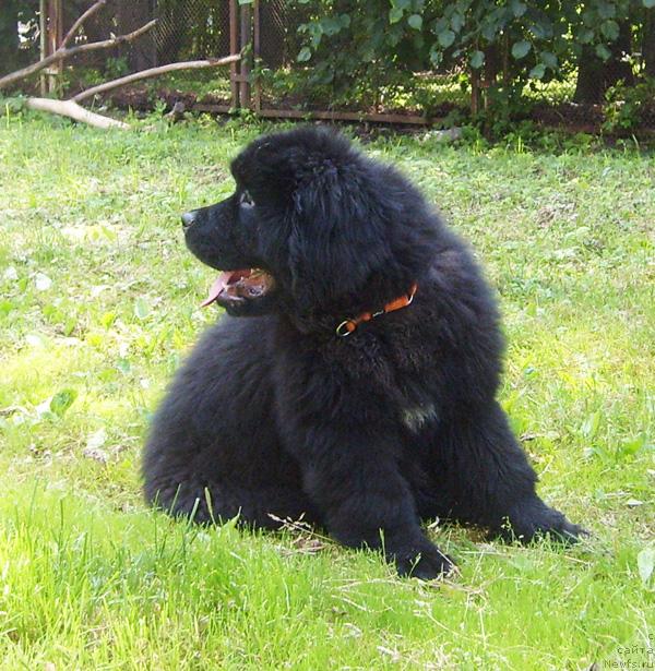 Фотография № 45527