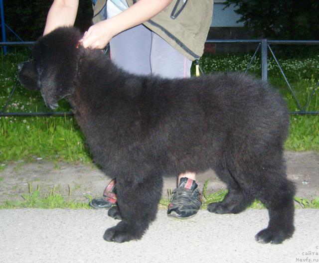 Фотография № 45530