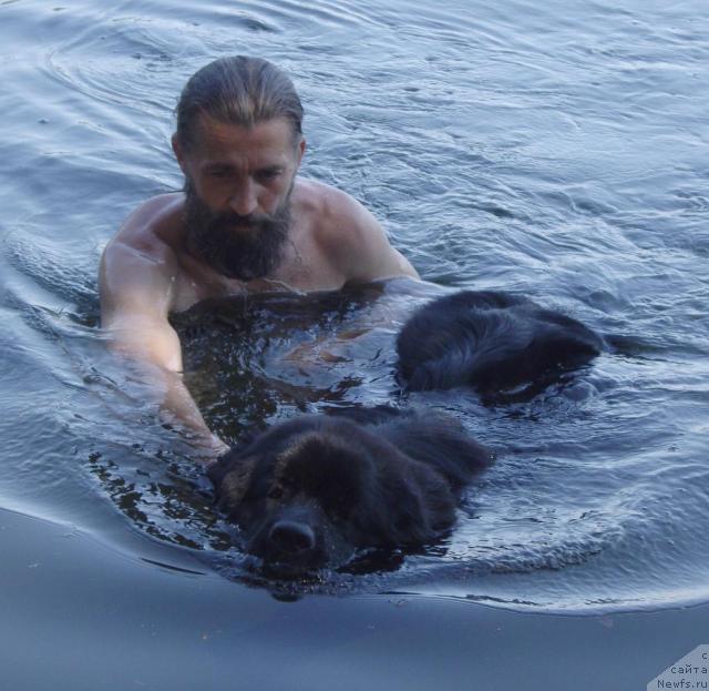 Фотография № 45561