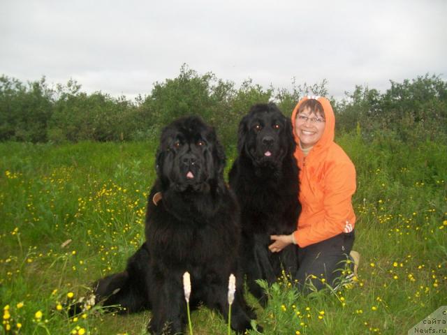 Фото: ньюфаундленд Fortuna of Giant's Island, ньюфаундленд Глория Гранд Блек, и я