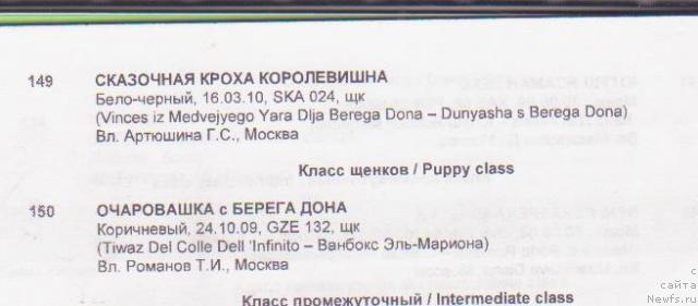 Фотография № 45576