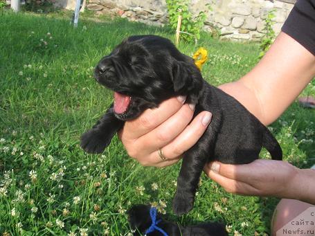 Фото: Детки Экси