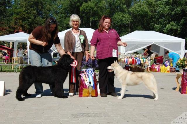 Фотография № 45593