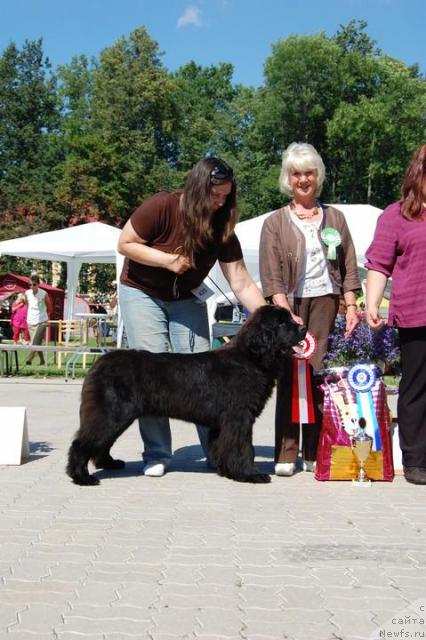 Фотография № 45594