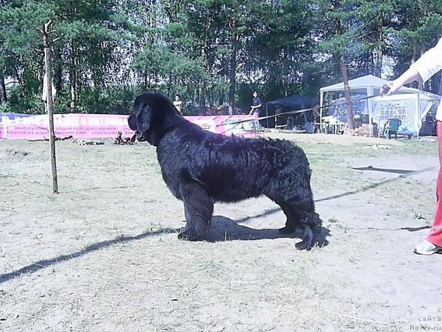 Фотография № 45607