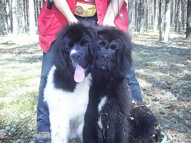 Фотография № 45608