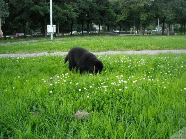 Фотография № 45617