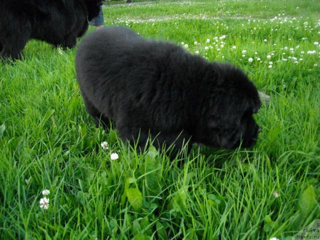 Фотография № 45618