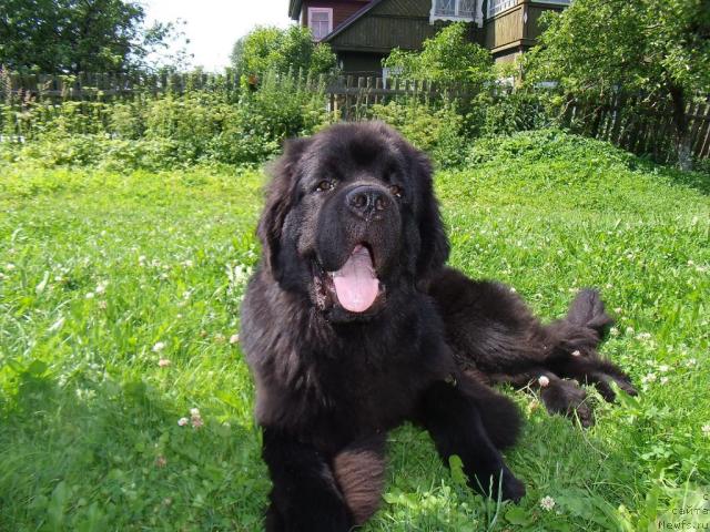 Фотография № 45622