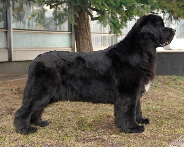 Фотография № 45655