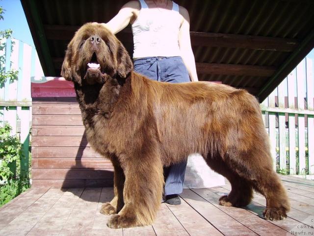 Фотография № 45781