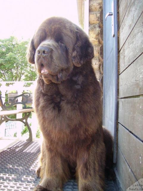 Фотография № 45782