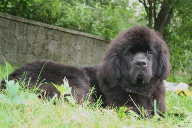 Фотография № 45841