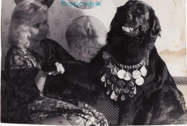 Фото: Светлана Смирнова