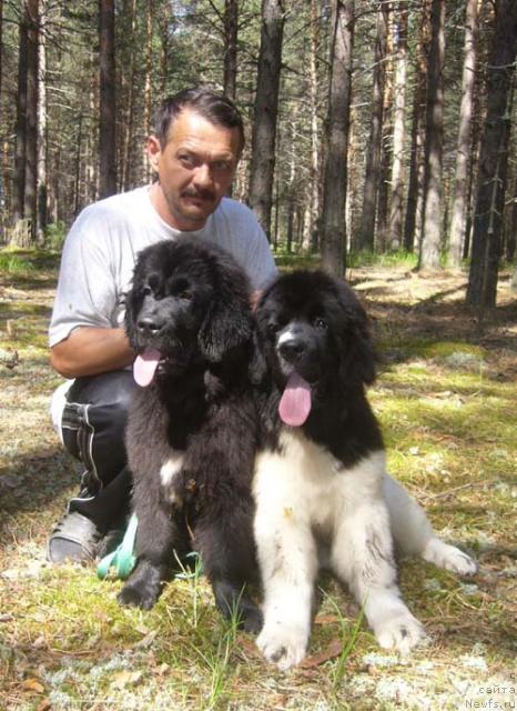 Фотография № 45922