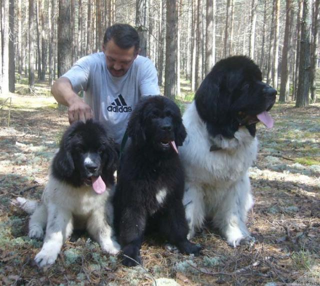 Фотография № 45924