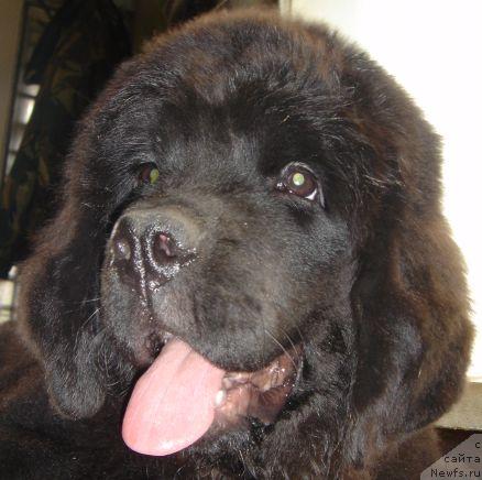 Фото: Дар СвеЗы Онафеелинг