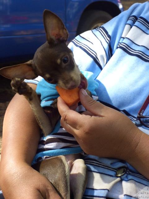 Фотография № 45951