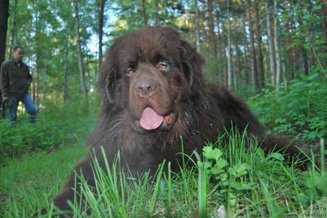 Фото: Патриот