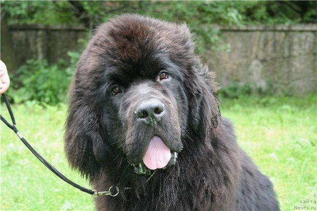 Фотография № 45970