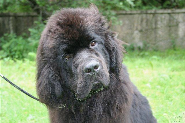 Фотография № 45971