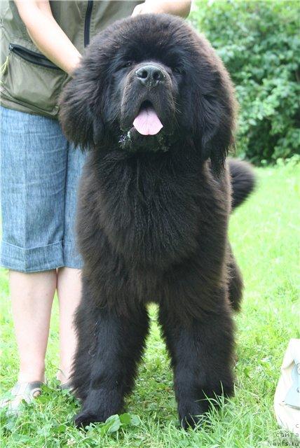 Фотография № 45973