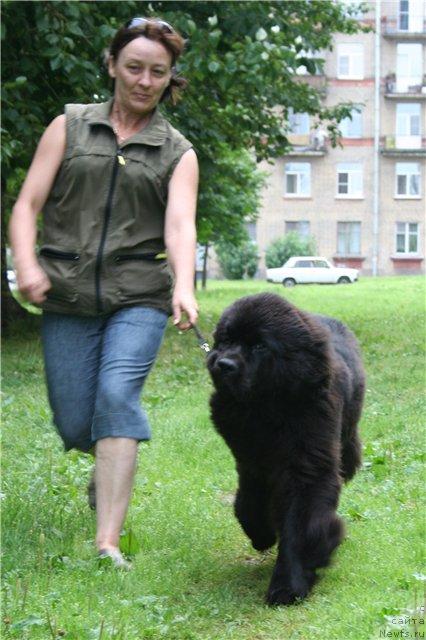 Фотография № 45976