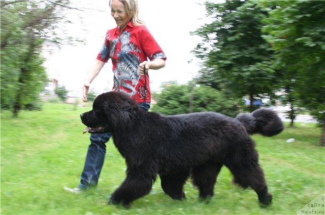 Фотография № 45978