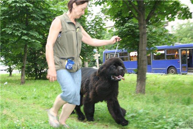 Фотография № 45979