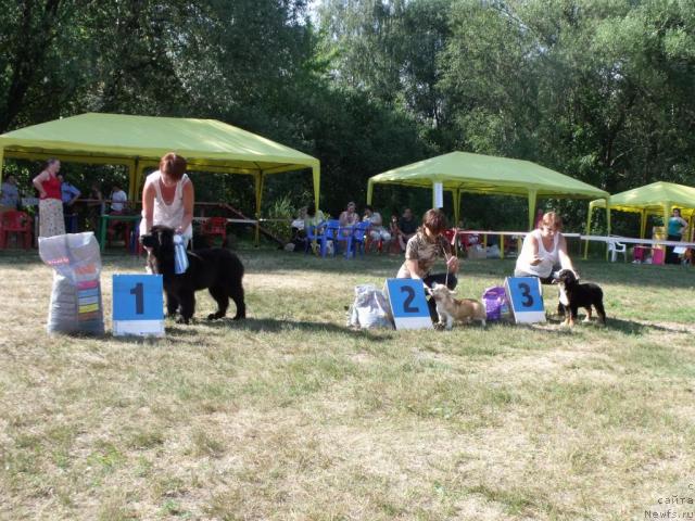 Фотография № 45996