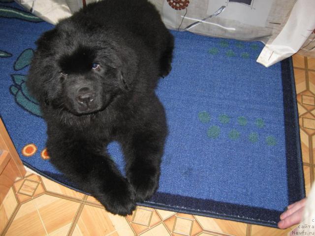 Фото: Ценитель Прекрасного из Аркаима