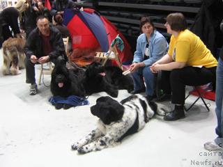 Фотография № 4601