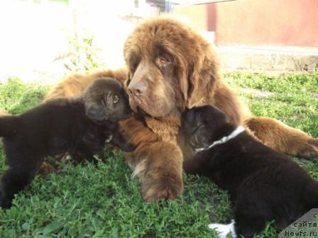 Фотография № 46040