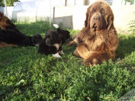 Фотография № 46044