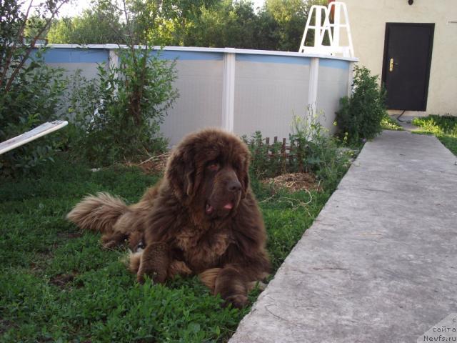 Фотография № 46071