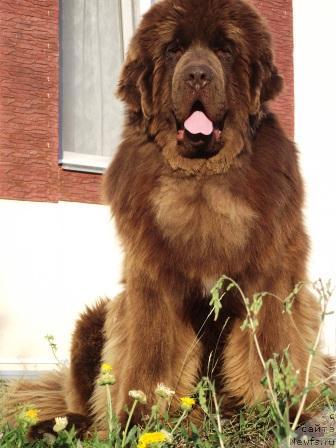 Фотография № 46072