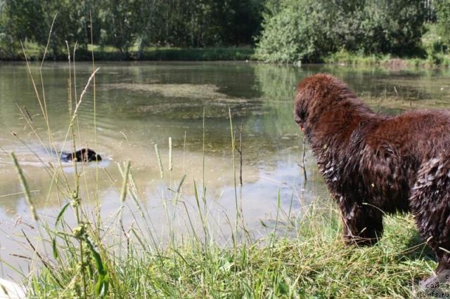 Фотография № 46114