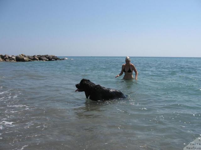 Фотография № 46149