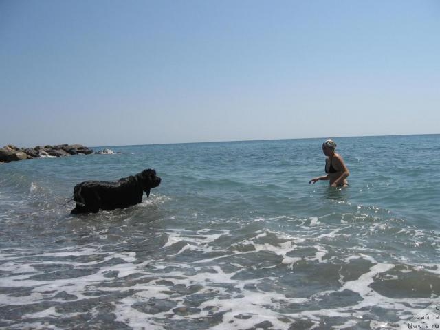 Фотография № 46150