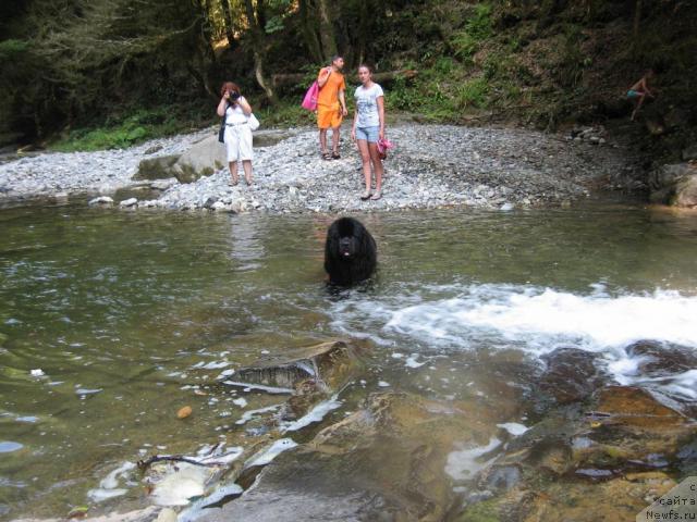 Фотография № 46156