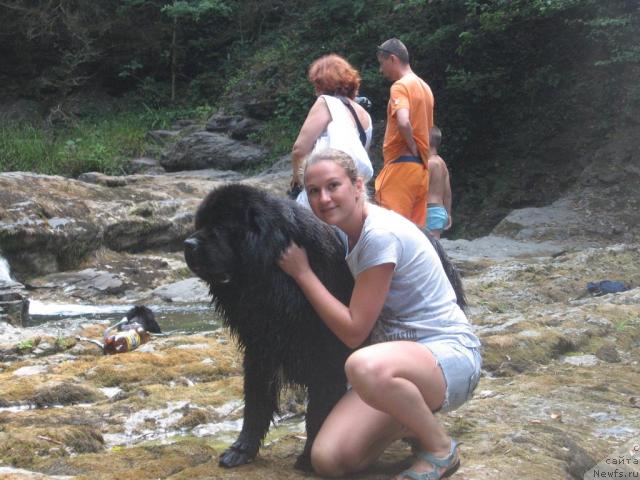 Фотография № 46157