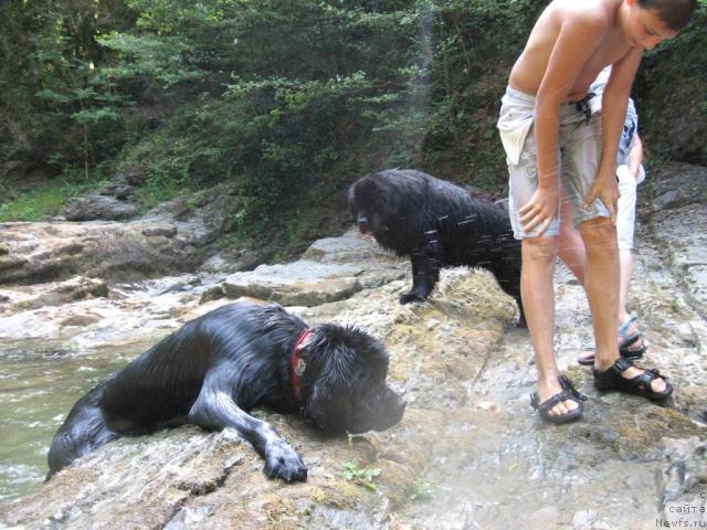 Фотография № 46162