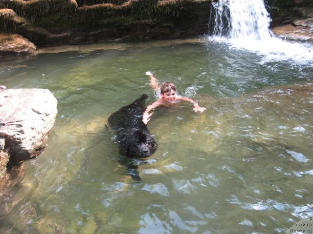 Фотография № 46163