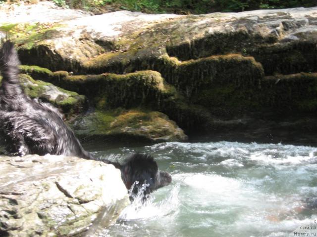 Фотография № 46165