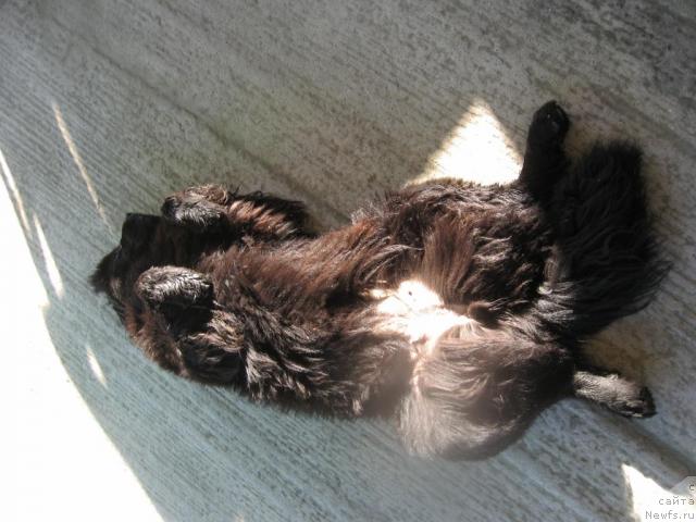 Фотография № 46166