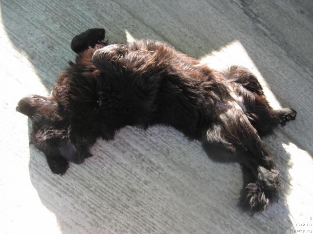 Фотография № 46167