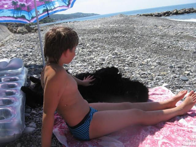 Фото: ньюфаундленд Грация Ночи