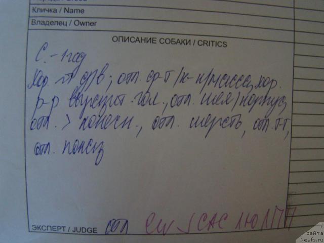 Фотография № 46195